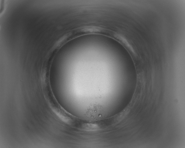 X0000083010159200702091300