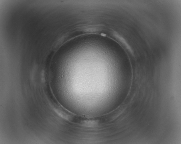 X0000083010161200702091300