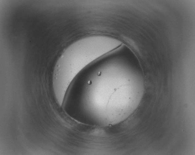 X0000083010162200702091300