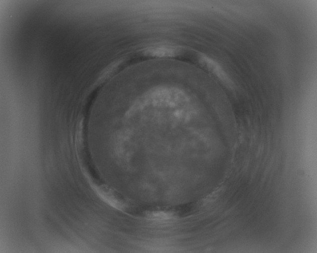 X0000083010163200702091300