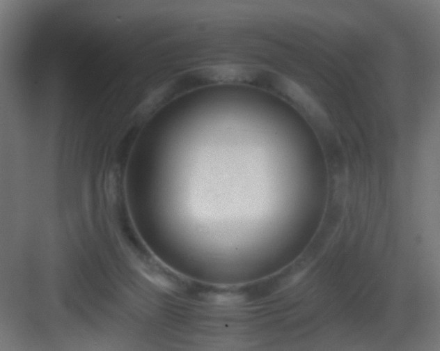 X0000083010165200702091300