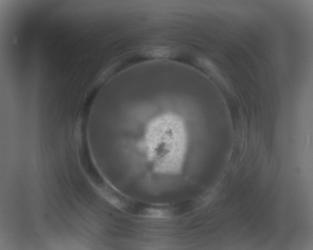 X0000083010167200702091300