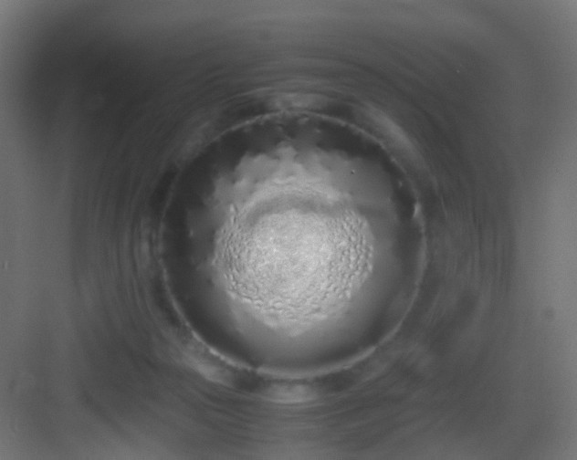 X0000083010169200702091300