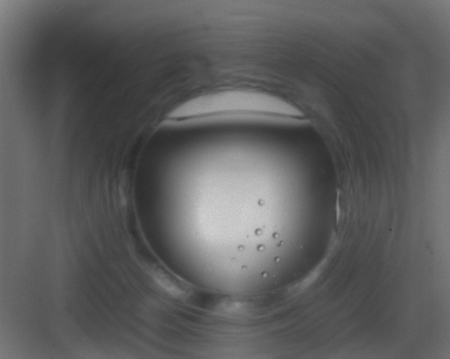 X0000083010174200702091300