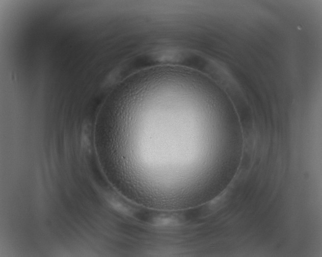 X0000083010175200702091300