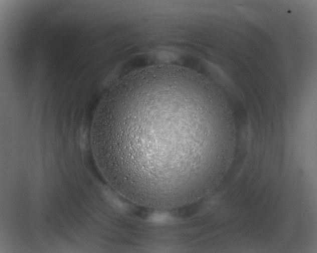 X0000083010177200702091300