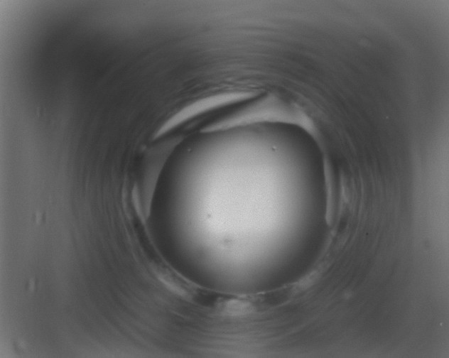 X0000083010180200702091300