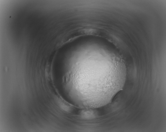 X0000083010181200702091300