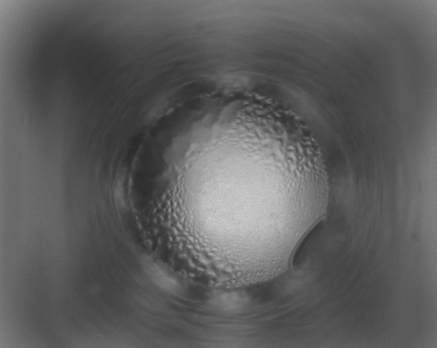 X0000083010185200702091300