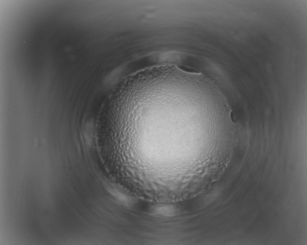 X0000083010189200702091300