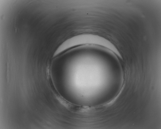 X0000083010190200702091300