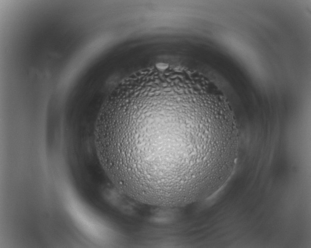 X0000083010191200702091300