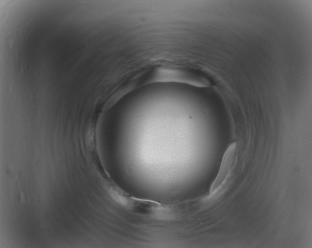 X0000083010192200702091300