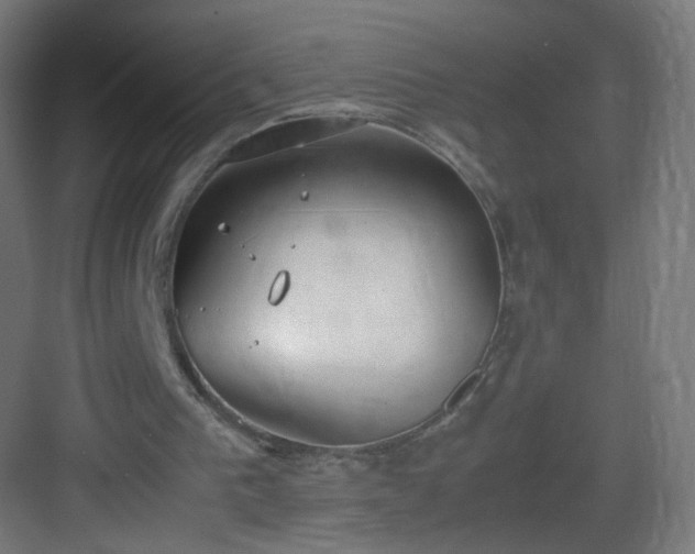 X0000083010193200702091259