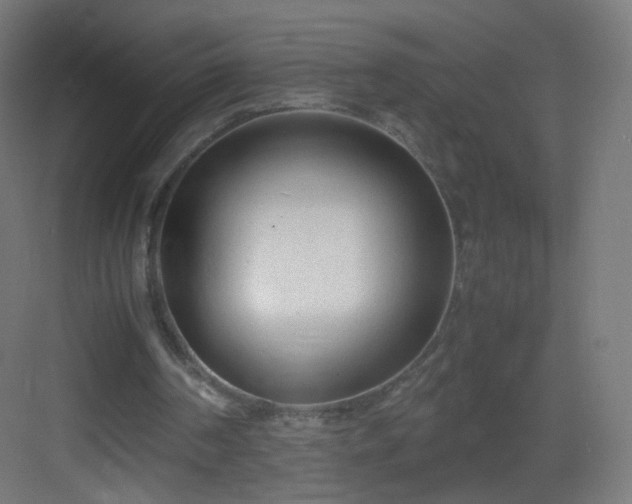 X0000083010194200702091259