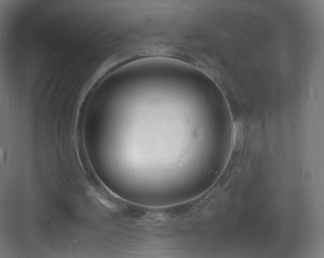 X0000083010195200702091259