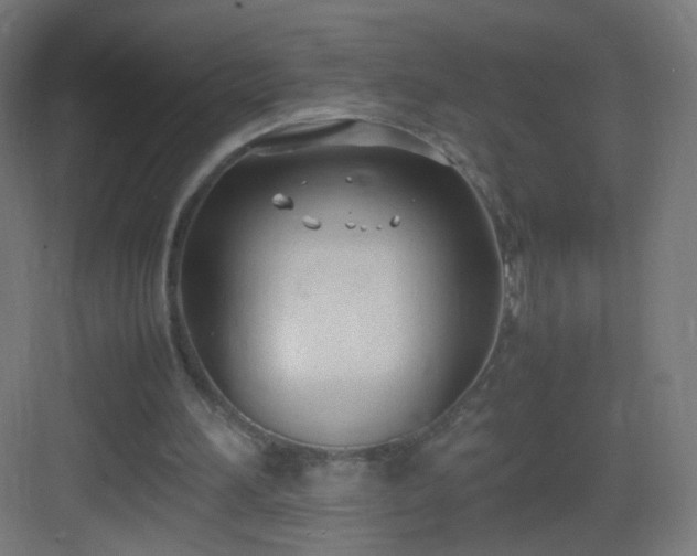 X0000083010196200702091259