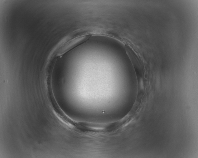 X0000083010197200702091259