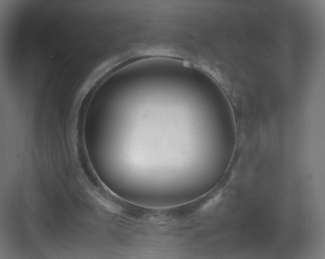 X0000083010199200702091259