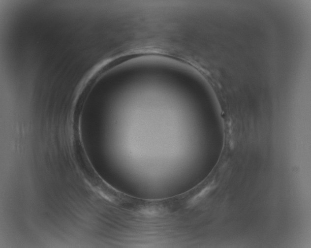 X0000083010200200702091259