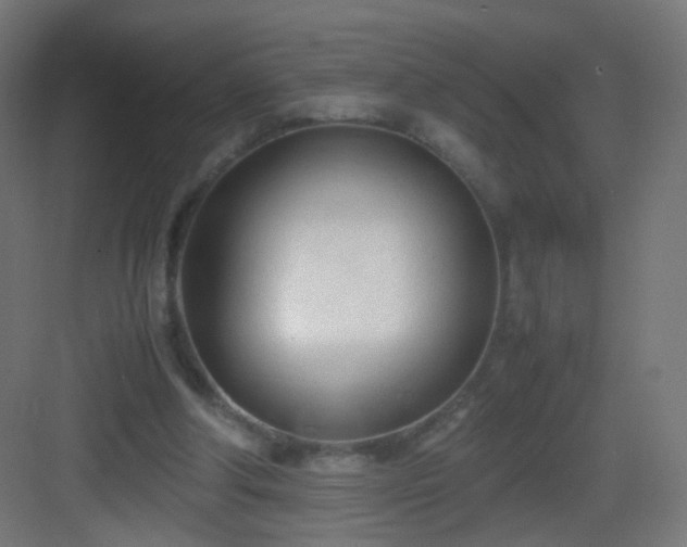 X0000083010202200702091259