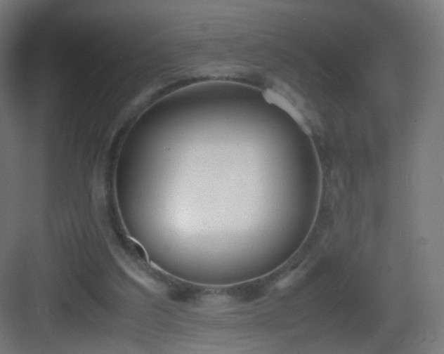 X0000083010203200702091259