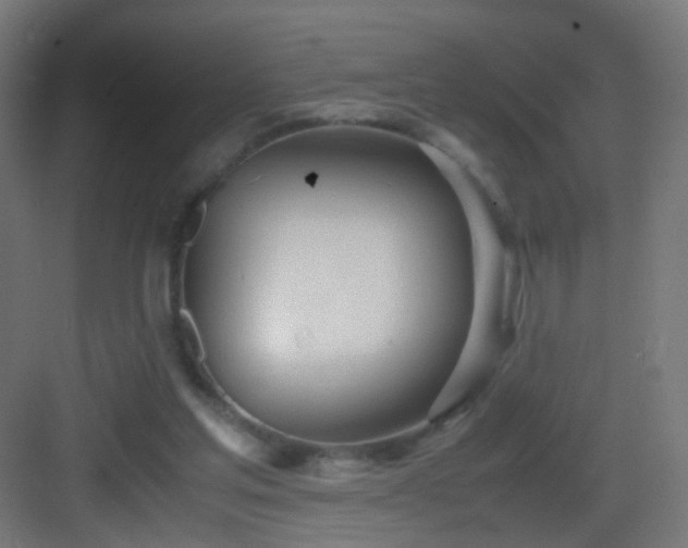 X0000083010205200702091259