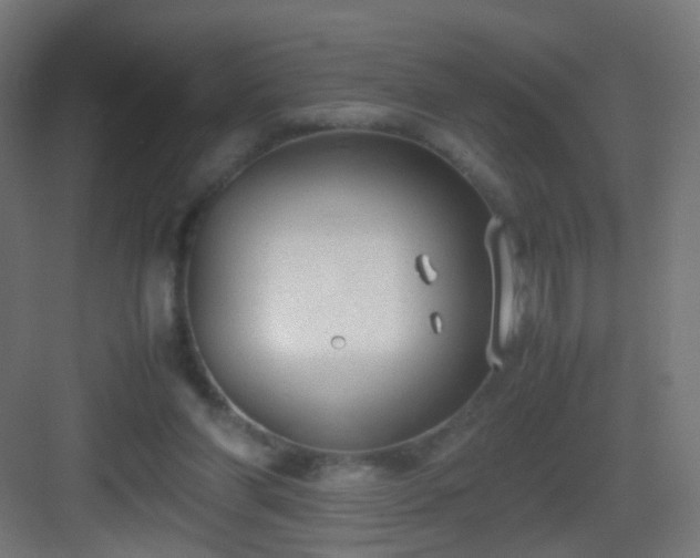 X0000083010206200702091259