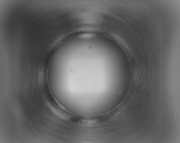 X0000083010208200702091259