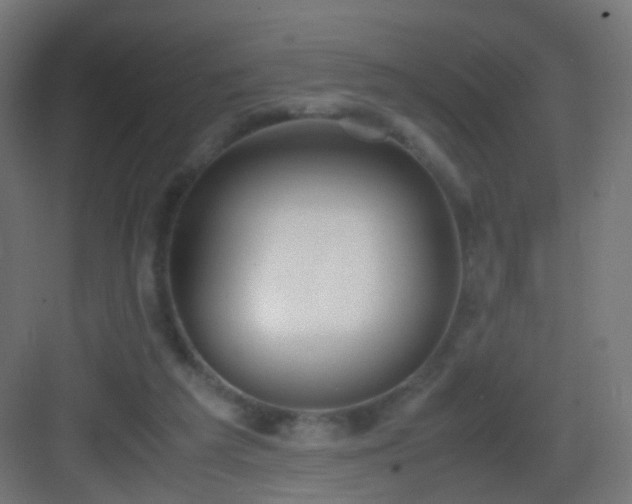 X0000083010209200702091259