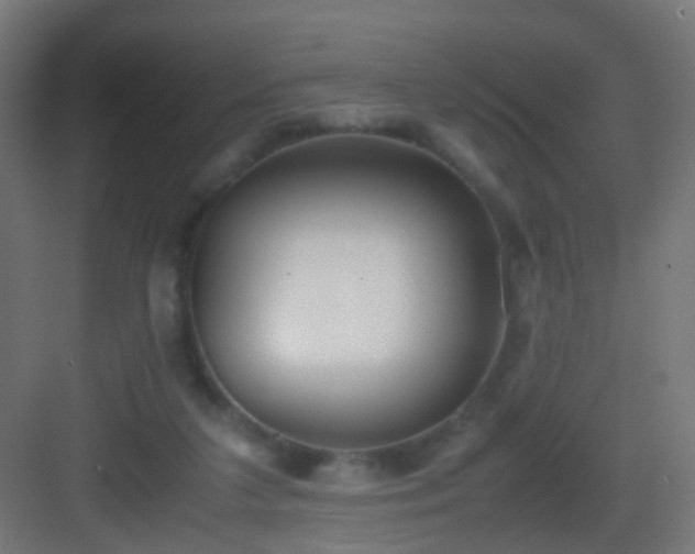 X0000083010211200702091259