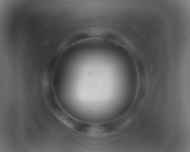 X0000083010215200702091259