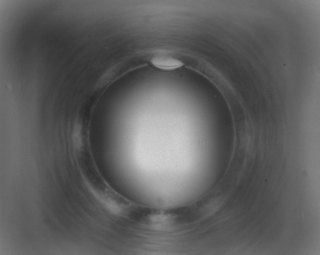 X0000083010216200702091259