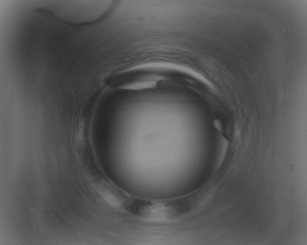 X0000083010219200702091259