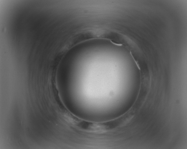 X0000083010221200702091259