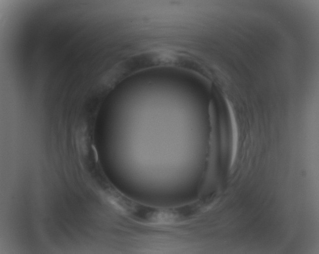 X0000083010223200702091259