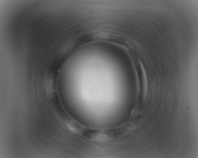 X0000083010224200702091259