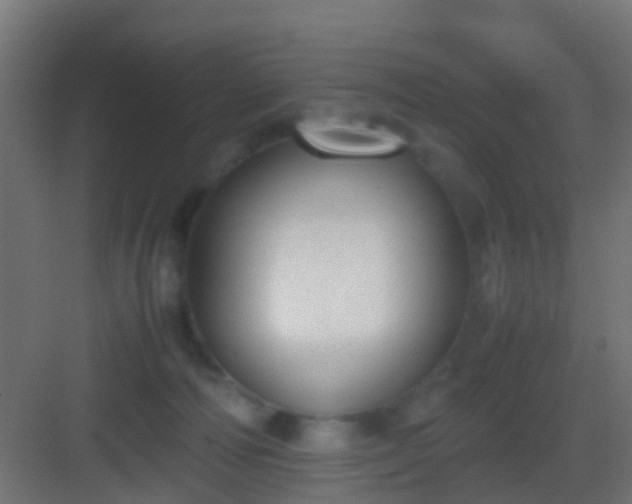 X0000083010226200702091259