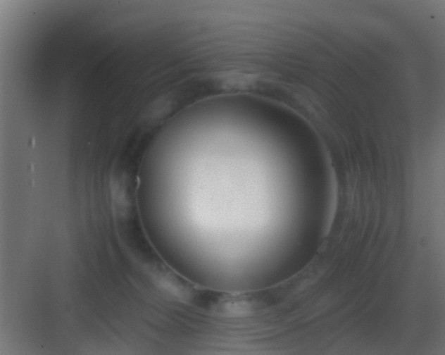 X0000083010228200702091259