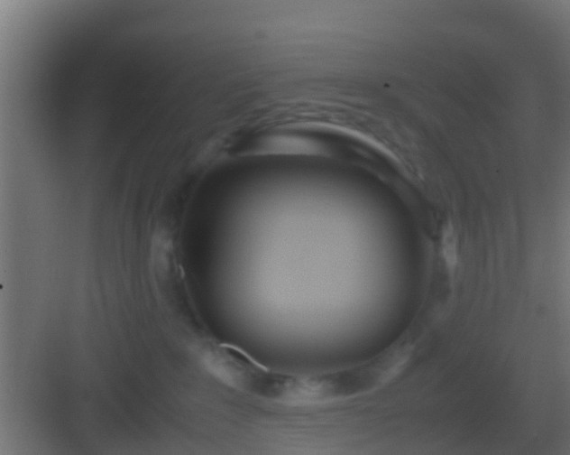 X0000083010235200702091259