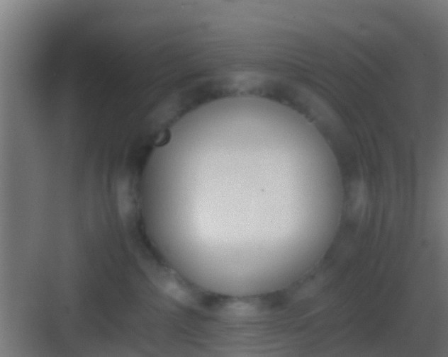 X0000083010236200702091259