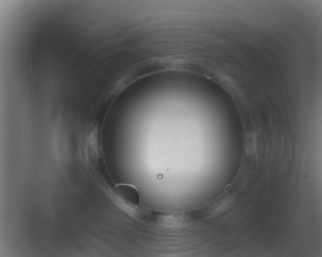 X0000083010238200702091259