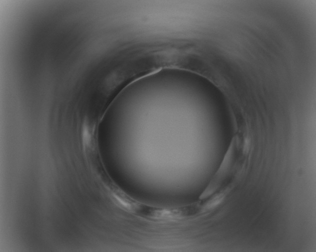 X0000083010239200702091259