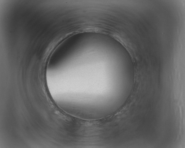 X0000083010241200702091258