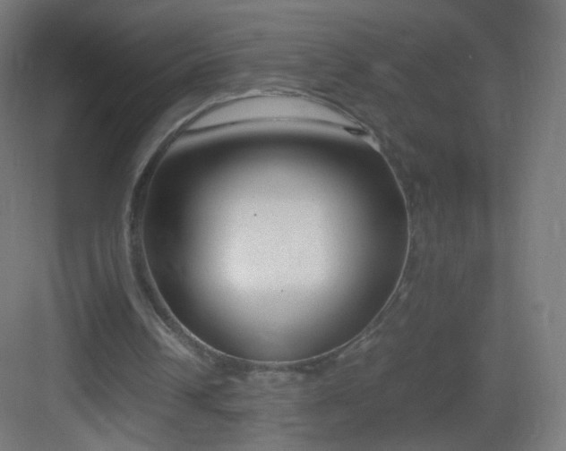 X0000083010242200702091258