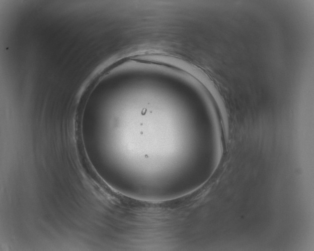 X0000083010244200702091258