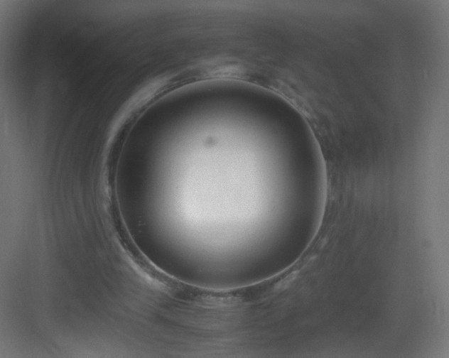 X0000083010245200702091258