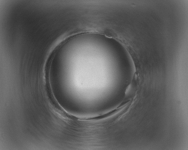 X0000083010246200702091258