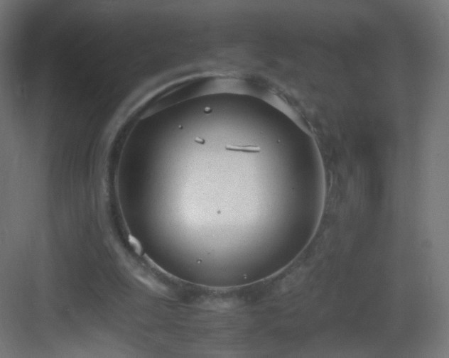 X0000083010247200702091258