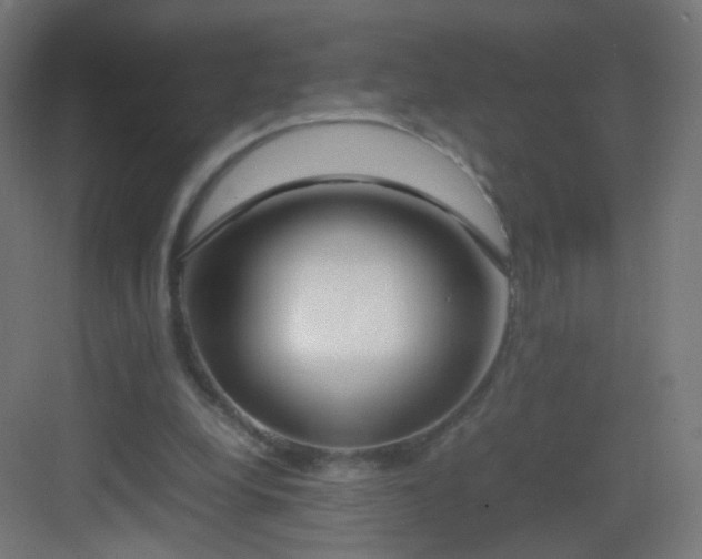 X0000083010248200702091258